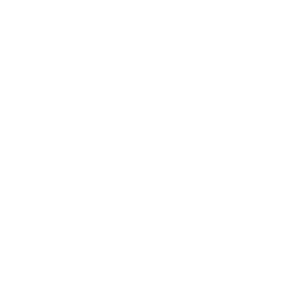 The V Collection